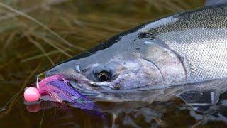 Addicted Alaska 1 - Alaskan Coho Salmon Fishing (Full Movie)