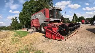 Massey Ferguson 7274 na sprzedaż