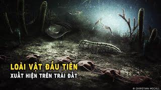 Loài vật đầu tiên xuất hiện trên Trái Đất | Khoa Học và Khám Phá