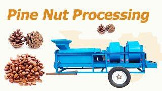 Pine nut threshing shelling machine | pine cone sheller | pine nut peeling machine