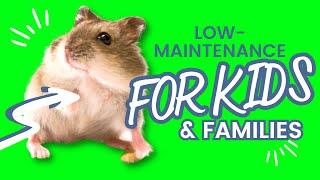 Top 10 Low-Maintenance Pets for Kids and Families