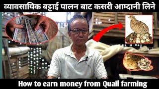 ब्यवसाइक बट्टाई पालनबाट कसरि आम्दानि लिने - Quail farming in Nepal - How to earn money