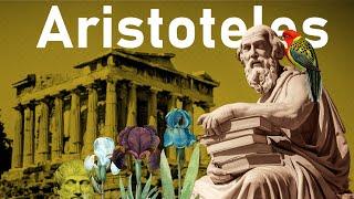 Aristoteles