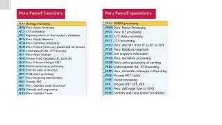 EPI-USE Payroll Country Version for Peru