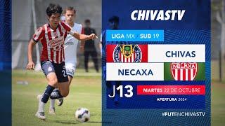 Chivas vs Necaxa| Sub 19 | Jornada 13 Apertura 2024 | Liga MX Presentado por MG