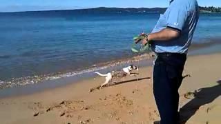 loving the beach at Eden NSW