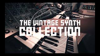 Synth sample packs - VINTAGE SYNTH COLLECTION - THE SOUND CO