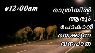 NIGHT DRIVE ON FOREST ROAD | PATHANAMTHITTA | KERALA | MALAYALAM VLOG | TRAVEL BLOG | ELEPHANT