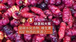 健康饮食的7个建议