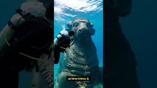 Uncovering the depths of ancient Dwarka  #dwarka #krishna #ocean #underwater #viralvideo