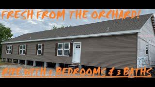 FRESH FROM THE ORCHARD: 4 BEDS, 3 BATHS & A BUILT IN BACK PORCH | MOBILE HOME TOUR