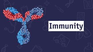 Is Immunity Real?