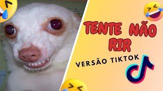 Tente Não Rir - Versão Tiktok