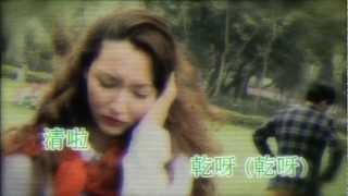 農夫 - 雙喜臨門 (飛圖懷舊版) MV