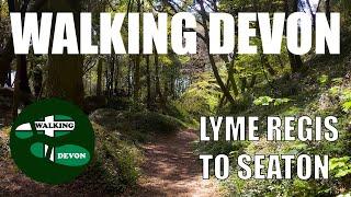 Devon Walks: The South West Coast Path - The Undercliffs, Lyme Regis to Seaton.