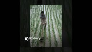 SRI Method of Rice cultivation