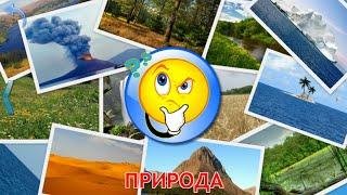 Природа. Малыш учит. Играем вместе. Игрушки и игры с детьми.