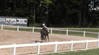 Video of EVERYTHING NICE ridden by ASHLEY VOGEL from ShowNet!