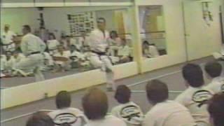 Naihanchi (ナイハンチ) Isshin-ryū (一心流空手) Karate Kata