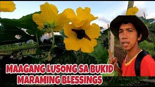 MA AGANG LUSONG SA BUKID  MARAMING BLESSINGS