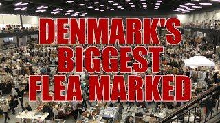 Denmark's BIGGEST flea marked