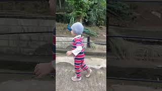 Lembang Park & Zoo