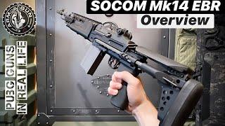 The SOCOM Mk14 EBR | Overview [PUBG Guns In Real Life]