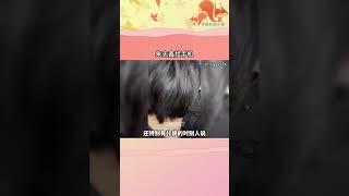 我找東西就這樣#朱志鑫 #登陸少年