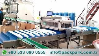 Turnkey Packaging Lines Industrial Packaging Automation Packaging Equipment