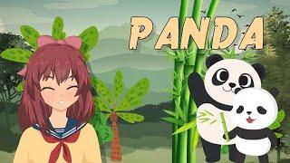 Discover the Playful Panda! 