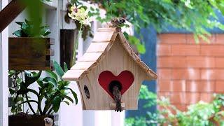 Smart Woodworking Ideas For Pets Build Heart Shape Bird House and Bird Feeder