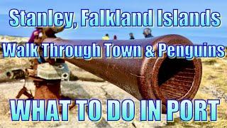 Stanley, Falkland Islands - Walk Through Town - What to Do in Port