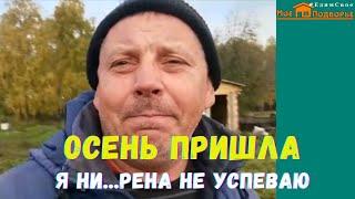 Осень в деревне. Как я один все успею?! "Мое Подворье"