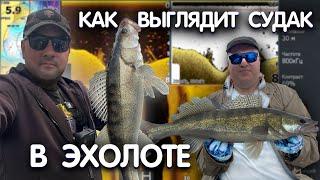 КАК НАЙТИ СУДАКА на ОКЕ! РАЗБОР скринов с ЭХОЛОТА LOWRANCE HDS LIVE