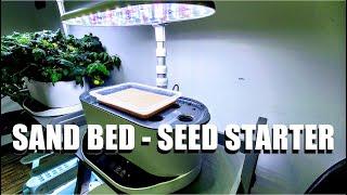 HYDROPONIC FARMING AT HOME   SAND BED SEED STARTER