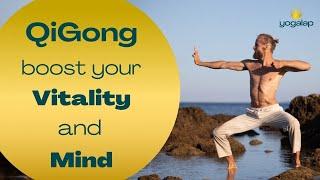 QiGong - Boost Your Vitality and Mind Power | Transformational session with Michaël Bijker