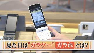 「ガラケー」×「スマホ」…４Ｇ対応の「ガラホ」が普及