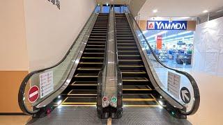 【エスカレーター】スーパービバホーム八王子多摩美大前店②（FUJITEC）Escalator,Super VivaHome Hachioji TamaBidaimae