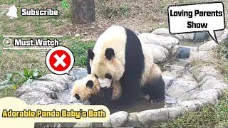 Adorable Panda Baby's Bath | iPanda