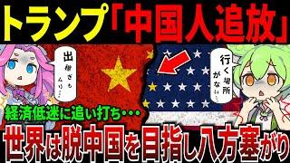 トランプが中国人を追放し国境を管理！中国経済にも追い打ち【ずんだもん＆ゆっくり解説】