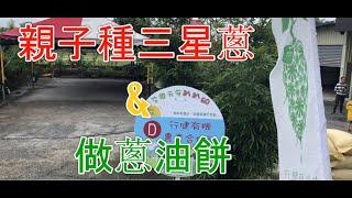 【旅行】親子種三星蔥&做蔥油餅