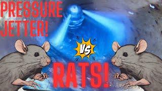 RATS GET IN YOUR HOME always from a sewer? Lets see...