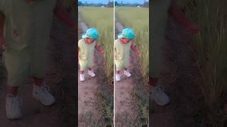 Hasnain ️#shorts #youtubeshorts #baby #explore #reelsindia #ytviral #india #hasnain #babystetus