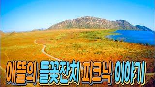 애뜰의 들꽃잔치 피크닉 이야기(Lake Perris State Recreation Area)