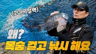 [킹태곤] 20m 절벽에서 낚시하는 이유