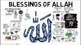 COUNT THE BLESSINGS OF ALLAH! - Animated Video