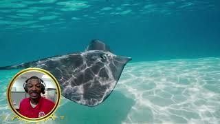Limited Time 7-Night Caribbean 2023 COMP Cruises!