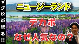 【ニュージーランド旅行】世界遺産級の星空が有名なテカポが人気の理由を解説しています