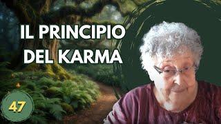 IL PRINCIPIO DEL KARMA (47)