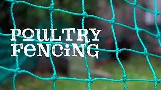 Poultry Fencing - Free range chickens in your backyard!